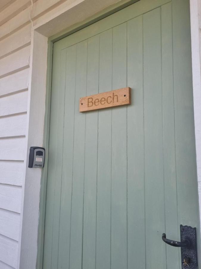 Beech, Country In Pegsdon Chalet